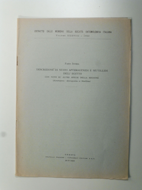 Descrizione di nuovi apterogynidi e mutillidi dell'Egitto con note su altre specie della regione (Hymenoptera. Apterogynidae et mutillidae)